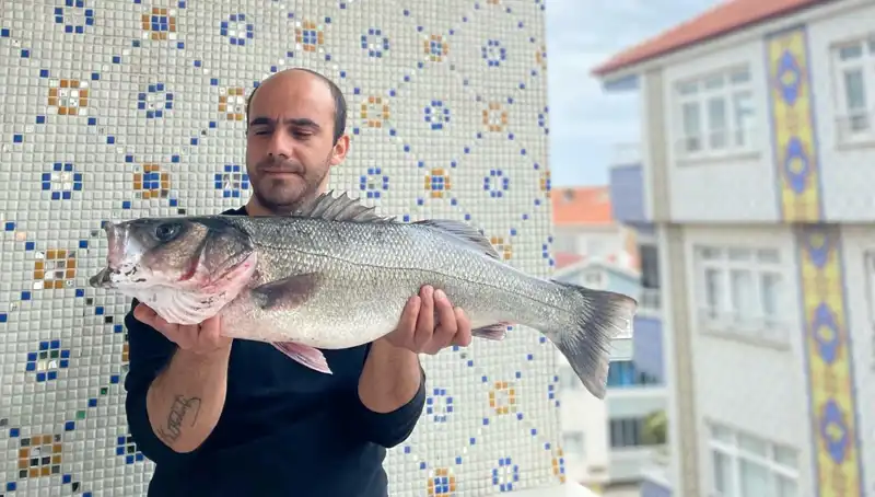 Beklenmedik Av: 7.5 Kilogramlık Dev Levrek Su Yüzeyine Çıktı!