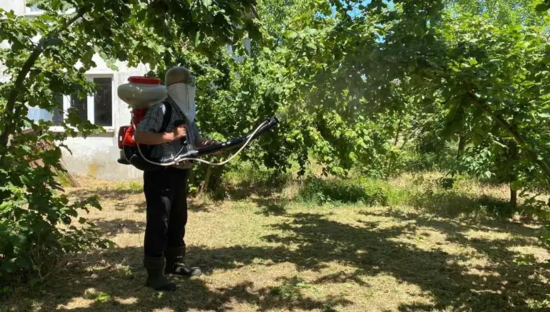 Çiftçilerin Geleceği Kükürt ve Samuray Arısının Mücadelesinde Gizli