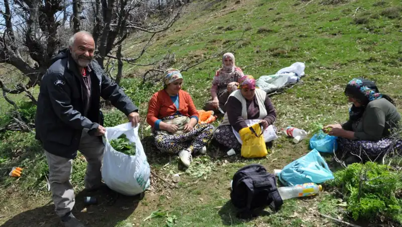 Türkiye'de Yürüyerek Toplanan Mucize: 5 Saatlik Yolculuğun Ekonomik Hikayesi