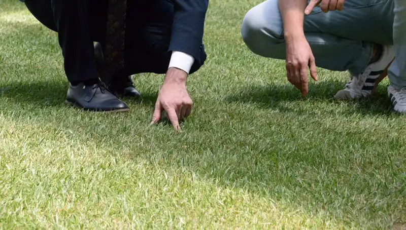 Tartışma Yaratan Stadyum Zemini: On Günde Hazır Olacak mı?
