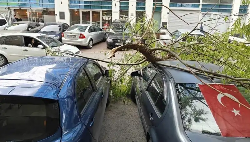 Kayseri'de Dalları Kıran Fırtına: Doğa Gücünü Gösterdi