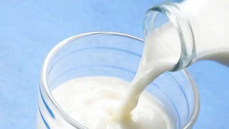 Süt Liter Fiyatı 2025: Çiğ Sütte Son Durum ve Fiyat Artışları
