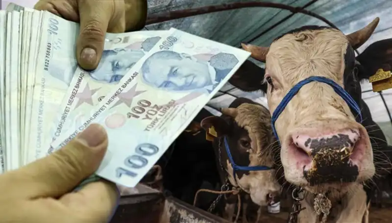 Kurban Bayramı Öncesi Maaşlar Yatacak mı? Emeklilere Müjde!