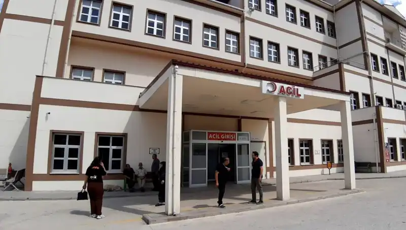 Bolu’da Tartışmalı Ayı Avı Kararı Hayvanseverleri Sokağa Döktü