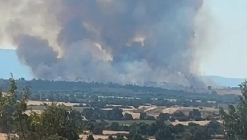 Edirne'yi Saran Komşu Orman Yangını: Nedenleri ve Etkileri
