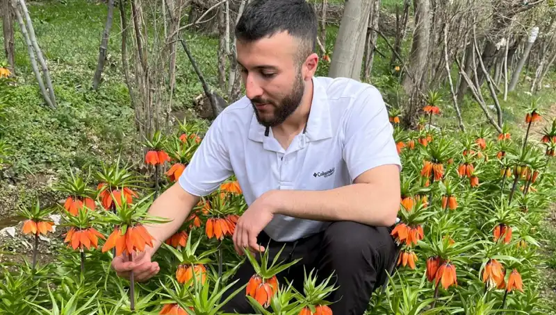 Ağlayan Gelin: 20 Günlük Ömrüyle 244 Bin Lira Ceza Riski Var!