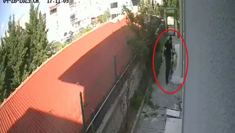 Hayvansever Doktorun Korkunç Sırları: Köpekleri Evde İşkenceyle Öldürdü