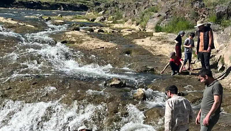 İnci Kefalinin Muhteşem Göçü: Doğa Harikası Binlerce Turisti Ağırlıyor