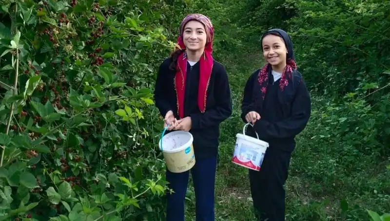 Antioksidan Zengini Besinler, Kanserle Mücadelede Etkili Çözüm Sunuyor