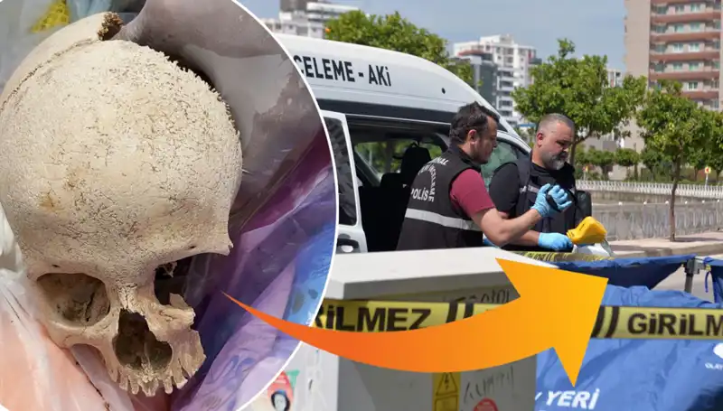 Sitenin Çöpünden Kafatası Çıktı: Uzman Doktorun Gizemi Ortaya Çıktı!
