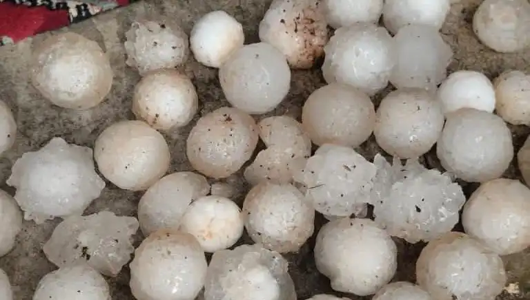 Şanlıurfa’da Kar Topu Büyüklüğünde Dolu Yağışı Şehirde Şok Etkisi Yarattı