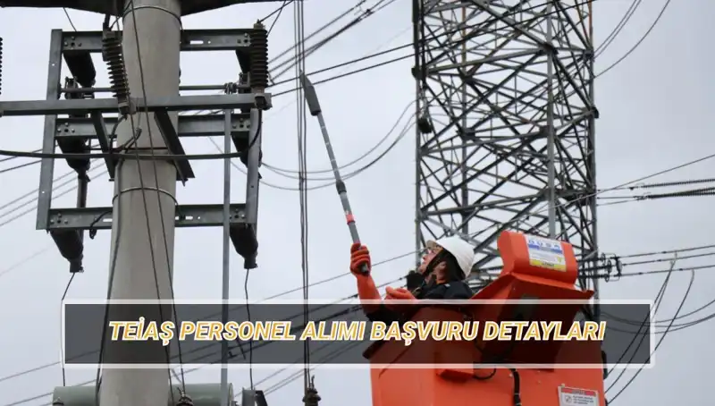 TEİAŞ Personel Alımı: 2023 için Başvuru Tarihleri ve Şartları