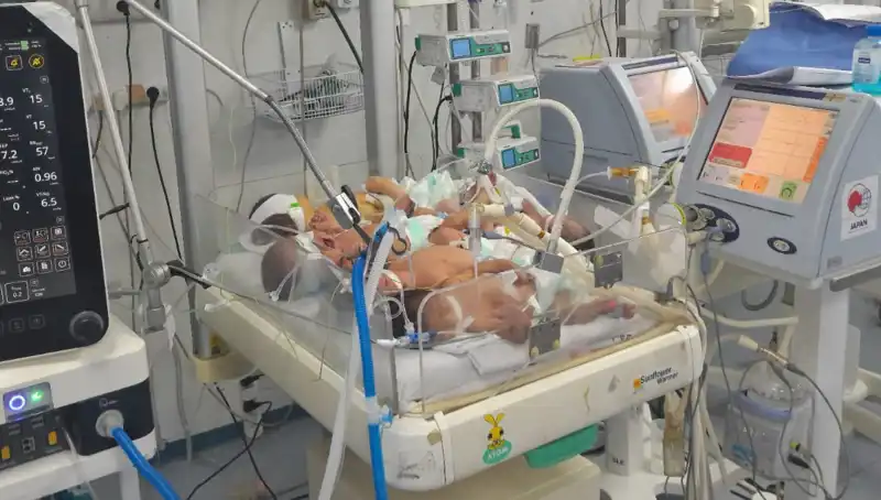 Gazzeli Doktorların Çağrısı: "Birden Fazla Bebek Aynı Kuvözde Yetiştiriliyor"