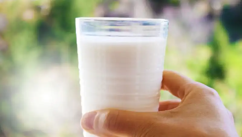 Süt Tüketimi Şişkinlik Yapar Mı? Uzman Doktordan Cevap Var!