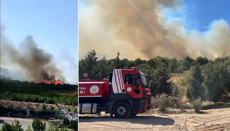Gebze’deki Orman Yangını: Doğanın Güzellikleri Tehdit Altında!