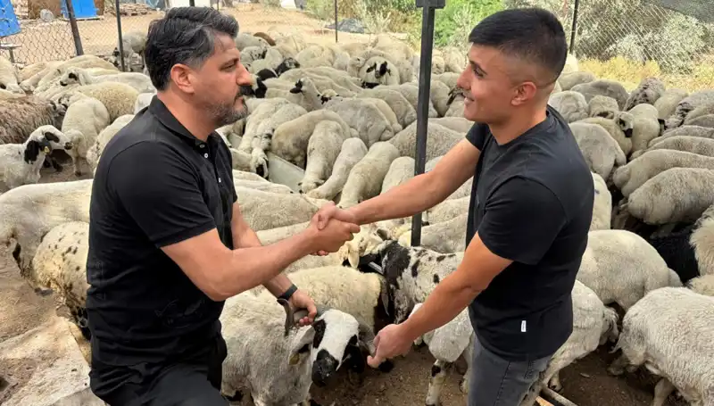 Kurbanlık Alırken Tuz ve Sumak Uyarısı: Şişkin Ürünlere Dikkat!