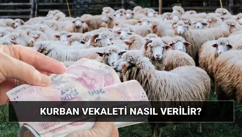 Vekaletle Kurban Kesimi 2025: Herkesin Bilmesi Gerekenler