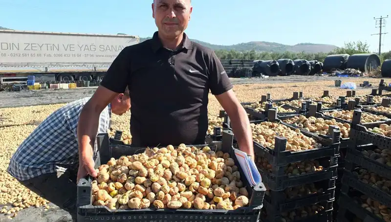 Balıkesir'de Tarım Sezonu Açıldı: Çin ve Rusya'ya İhraç Başlıyor
