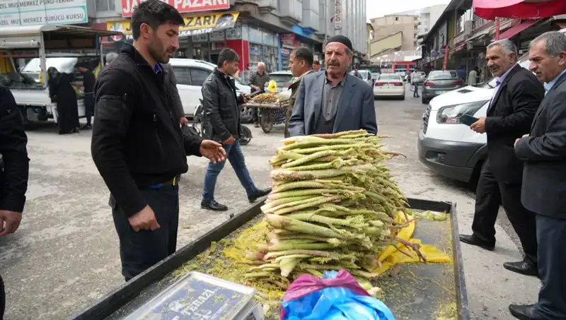 Dağların Şifalı İksiri: Şekerin Kanser ve Mide Hastalıklarına Faydaları