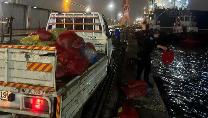Kaçak Midyeler Ele Geçirildi: Denizlerimizdeki Tehlike Ortaya Çıktı