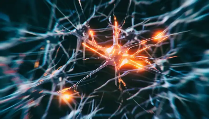 Alzheimer Vakalarının Artışı: Nedenleri ve Aldığımız Önlemler