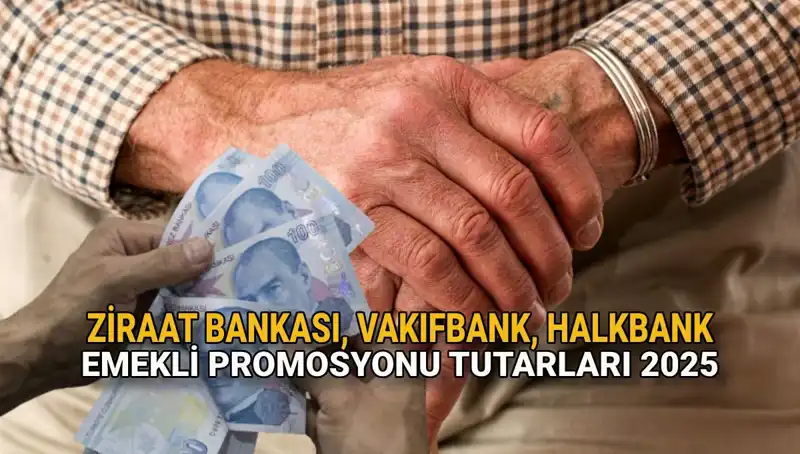 2025 Emekli Maaşı Promosyonları: Kamu Bankalarının Rekabeti ve Fırsatlar