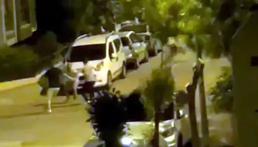 Avcılar'da Vatandaşa Saldırı: Çevredekiler Karşılıksız Kalmadı!