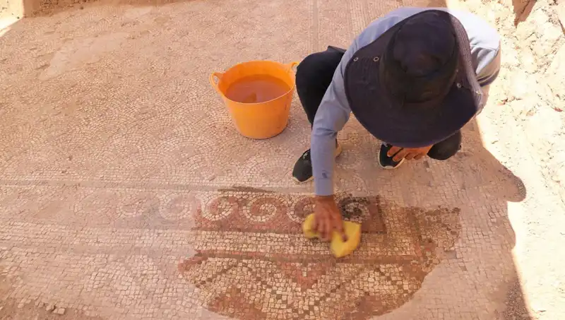 Mardin'de Yüzyıllara Meydan Okuyan Tarihi Mozaik Keşfi!