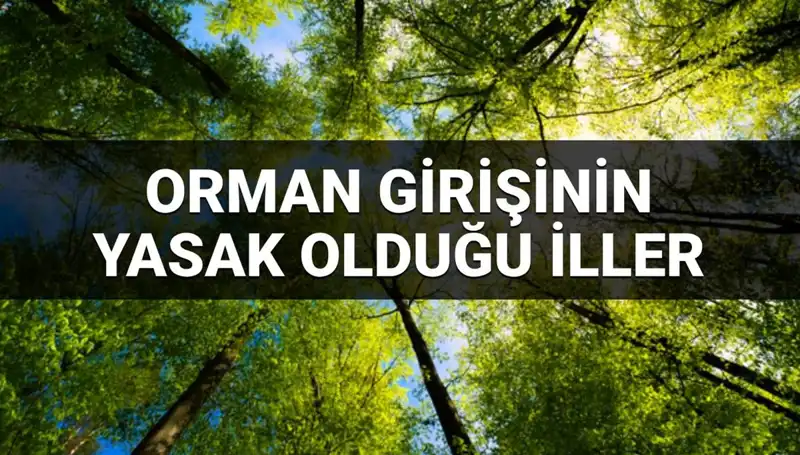 2025’de Hangi İllerde Ormana Girmek Yasak? İşte Detaylar