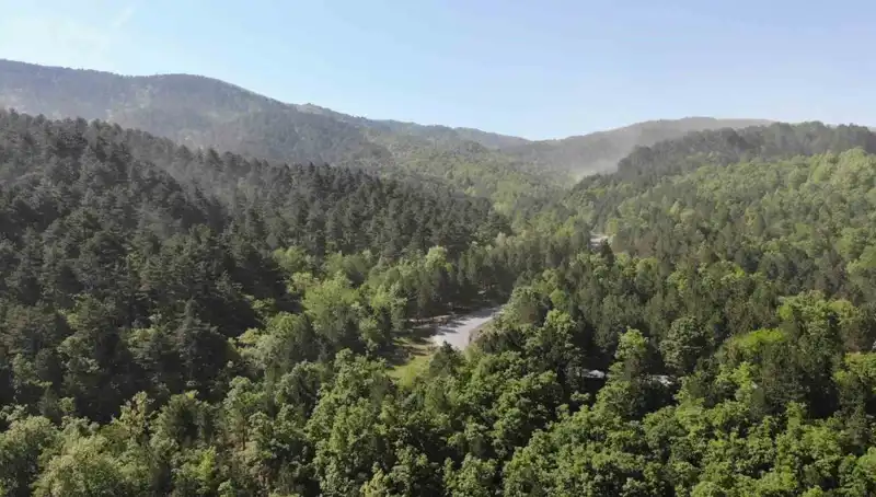 2025 Yılı İçin Orman Girişleri Yasaklanan İller: İşte Detaylar